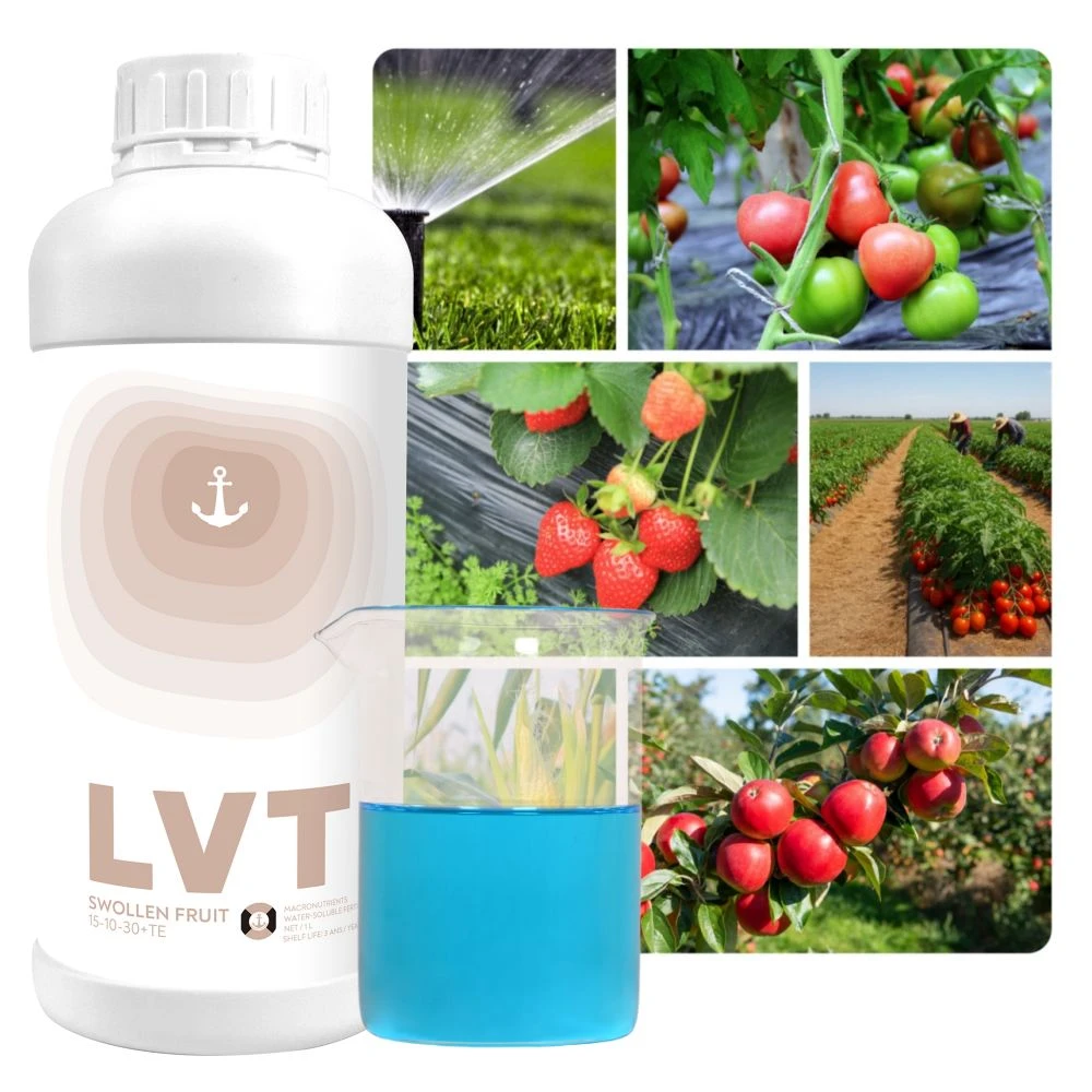 4-Fruit Setting2 4-Fruit Setting2